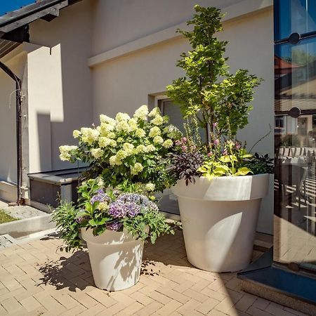 Hotel U Kaplicky Písek Kültér fotó